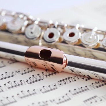 Home musician template home gallery img 2